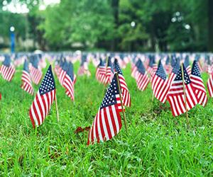 flags-in-the-grass.jpg