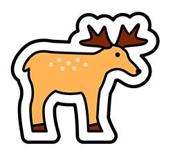 reindeer_web.jpg